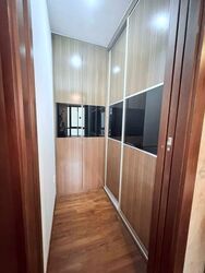 Holland Link (D10), Terrace #554146371